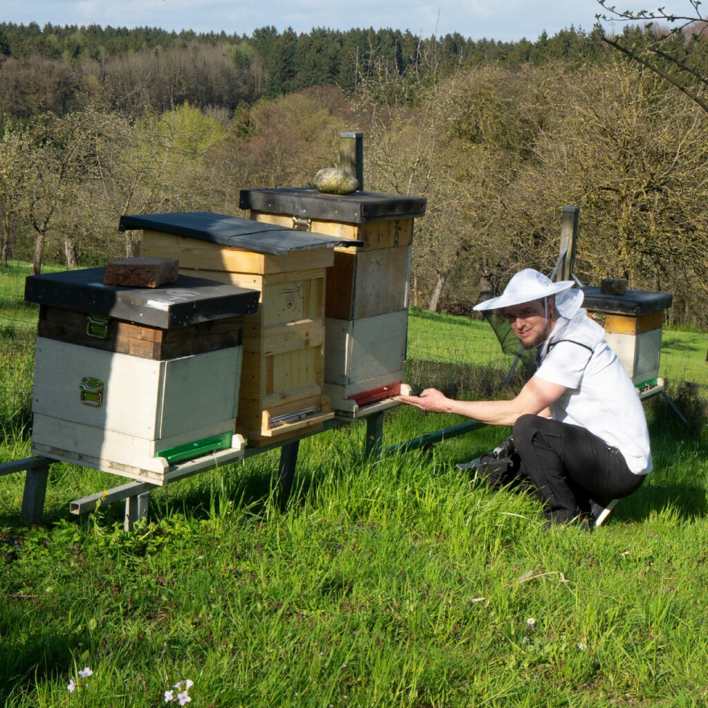 markus praunshofer bienen bienenvolk bienenstock naturwabenimkerei wildbauimkerei euratsfeld amstetten österreich